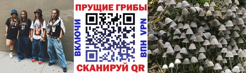 ОМГ ОМГ как зайти  Орехово-Зуево  Псилоцибиновые грибы MAGIC MUSHROOMS 